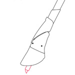 LEKI Smart Tip 2.0